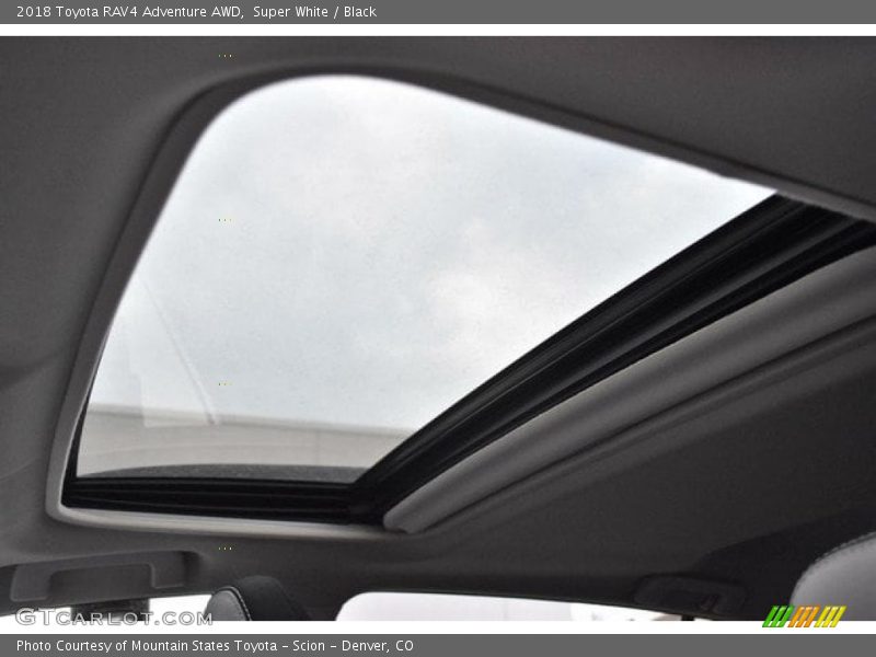 Super White / Black 2018 Toyota RAV4 Adventure AWD