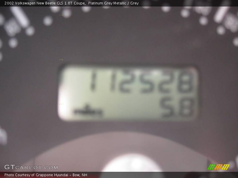 Platinum Grey Metallic / Grey 2002 Volkswagen New Beetle GLS 1.8T Coupe