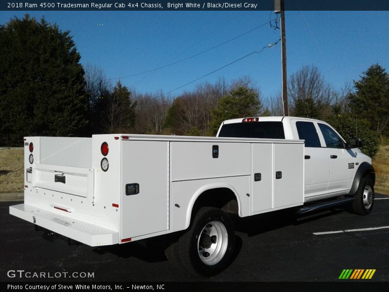 Bright White / Black/Diesel Gray 2018 Ram 4500 Tradesman Regular Cab 4x4 Chassis