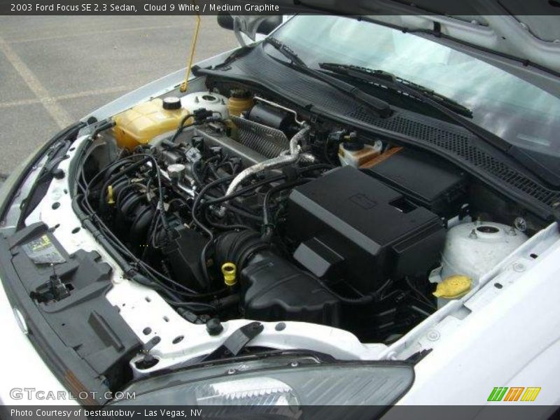 Cloud 9 White / Medium Graphite 2003 Ford Focus SE 2.3 Sedan