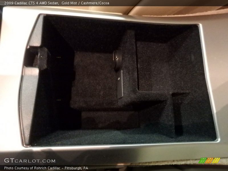 Gold Mist / Cashmere/Cocoa 2009 Cadillac CTS 4 AWD Sedan
