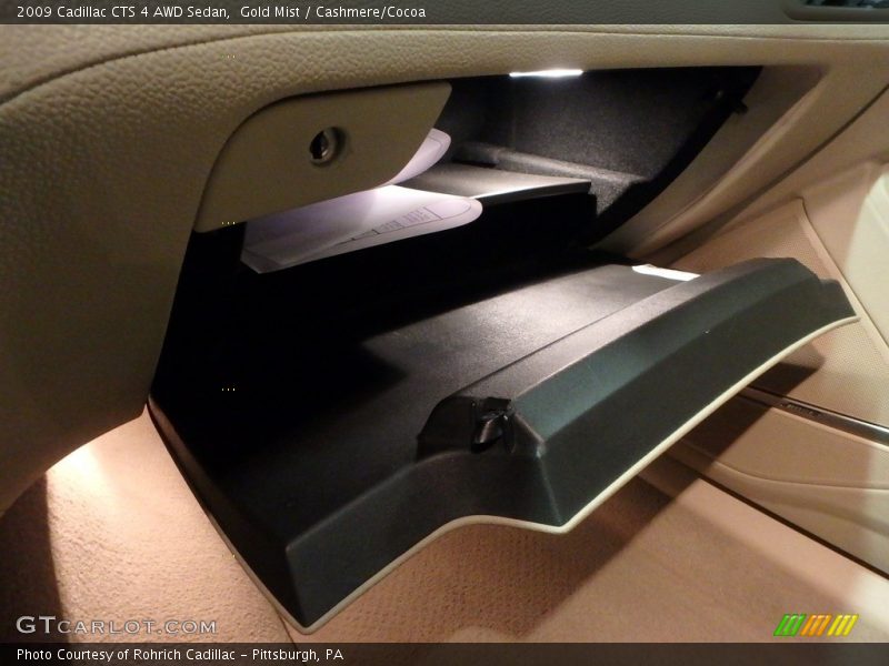 Gold Mist / Cashmere/Cocoa 2009 Cadillac CTS 4 AWD Sedan