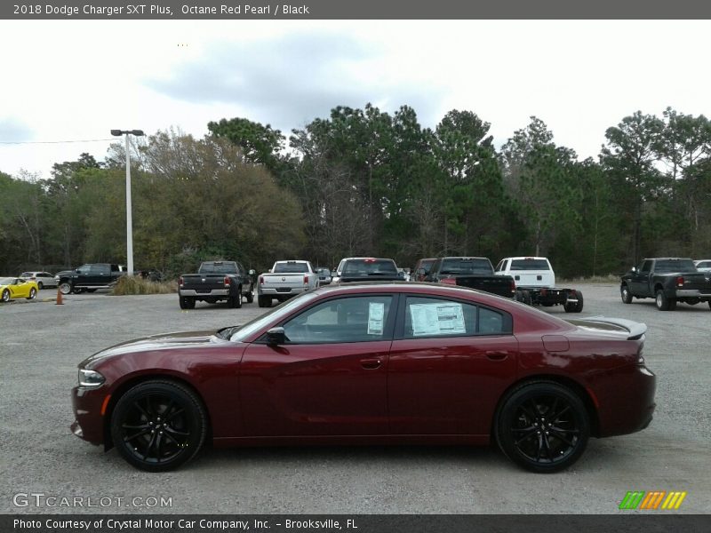 Octane Red Pearl / Black 2018 Dodge Charger SXT Plus