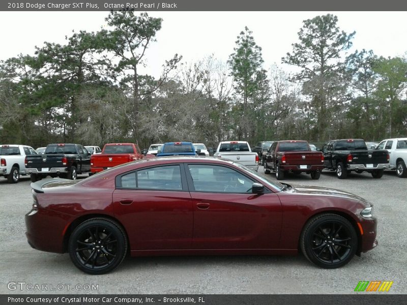 Octane Red Pearl / Black 2018 Dodge Charger SXT Plus