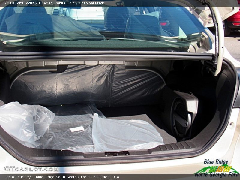 White Gold / Charcoal Black 2018 Ford Focus SEL Sedan