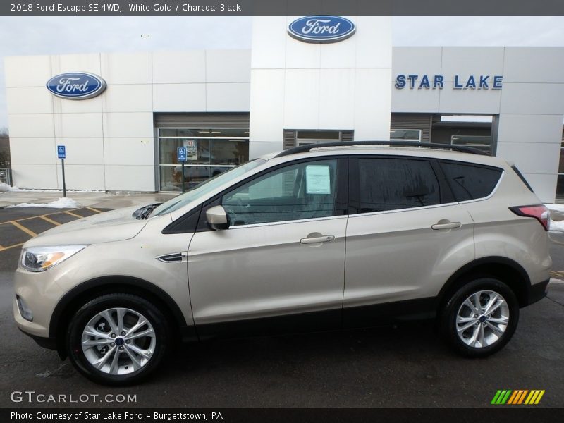 White Gold / Charcoal Black 2018 Ford Escape SE 4WD