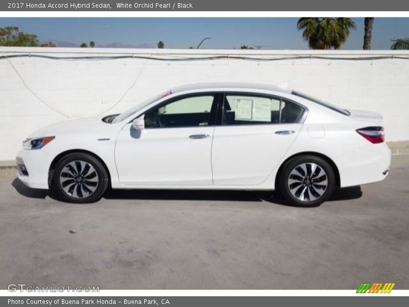 White Orchid Pearl / Black 2017 Honda Accord Hybrid Sedan