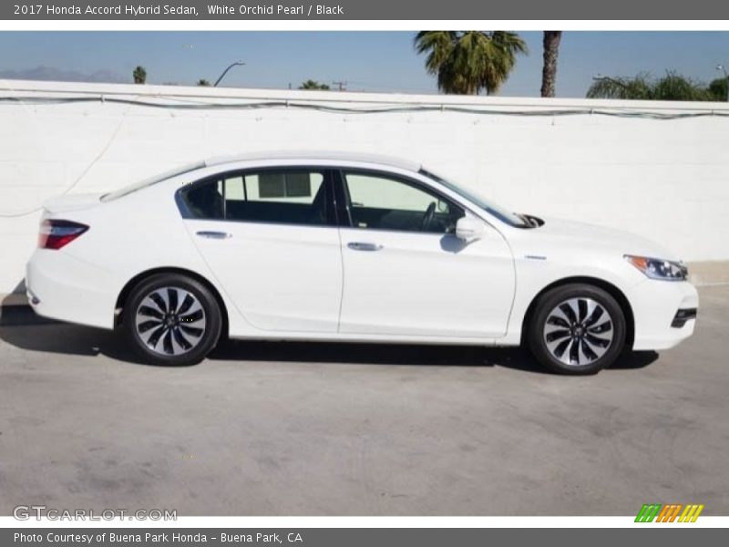 White Orchid Pearl / Black 2017 Honda Accord Hybrid Sedan