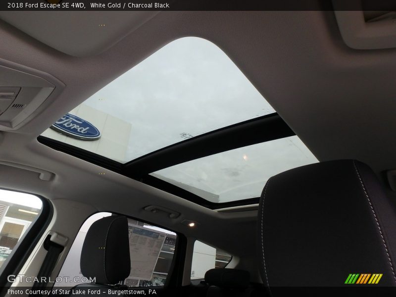 White Gold / Charcoal Black 2018 Ford Escape SE 4WD