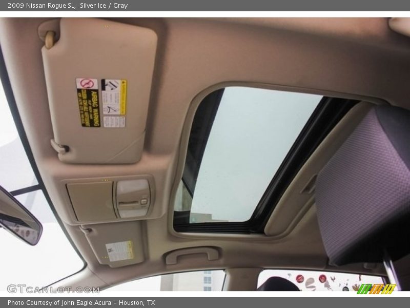 Silver Ice / Gray 2009 Nissan Rogue SL