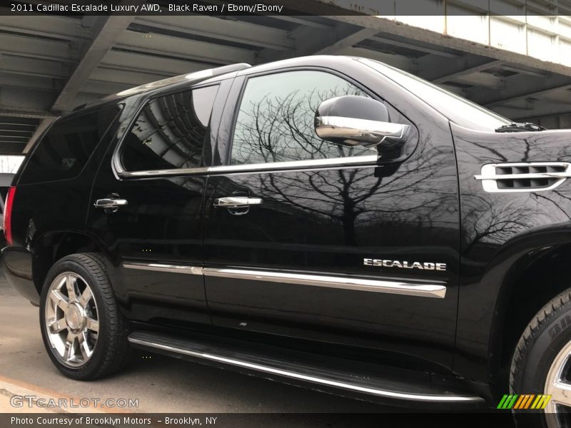 Black Raven / Ebony/Ebony 2011 Cadillac Escalade Luxury AWD