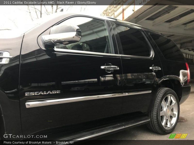 Black Raven / Ebony/Ebony 2011 Cadillac Escalade Luxury AWD