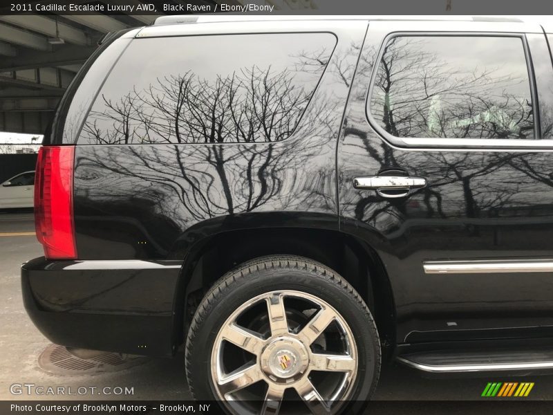 Black Raven / Ebony/Ebony 2011 Cadillac Escalade Luxury AWD