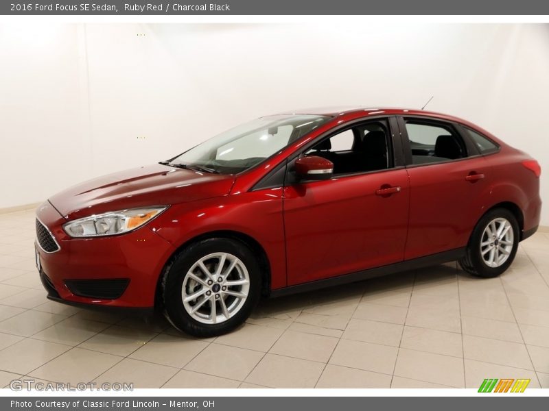 Ruby Red / Charcoal Black 2016 Ford Focus SE Sedan