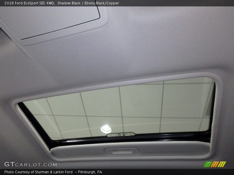 Shadow Black / Ebony Black/Copper 2018 Ford EcoSport SES 4WD