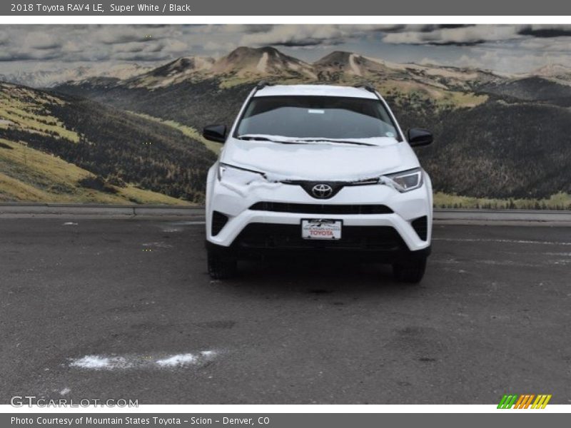 Super White / Black 2018 Toyota RAV4 LE