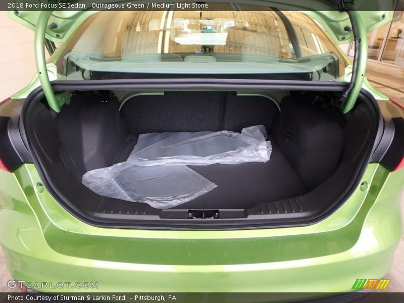 Outrageous Green / Medium Light Stone 2018 Ford Focus SE Sedan
