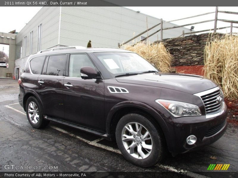 Dark Currant / Wheat 2011 Infiniti QX 56 4WD