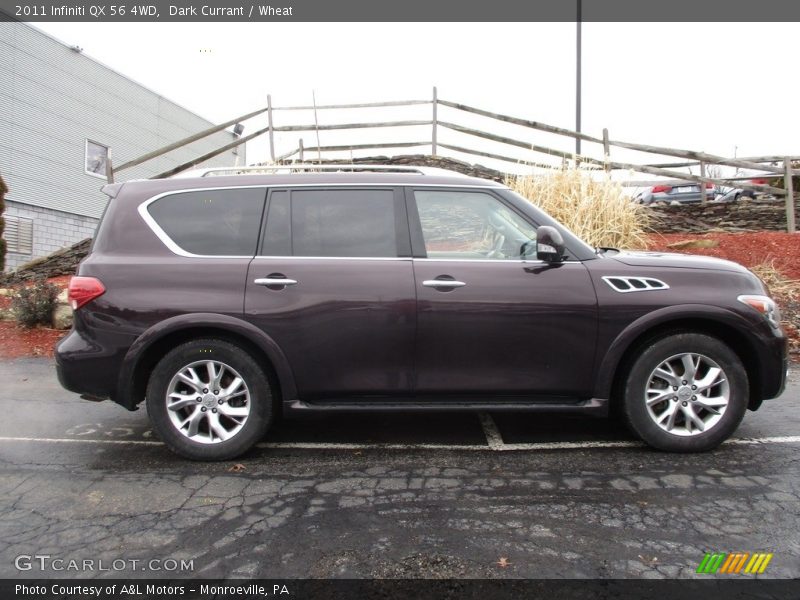 Dark Currant / Wheat 2011 Infiniti QX 56 4WD