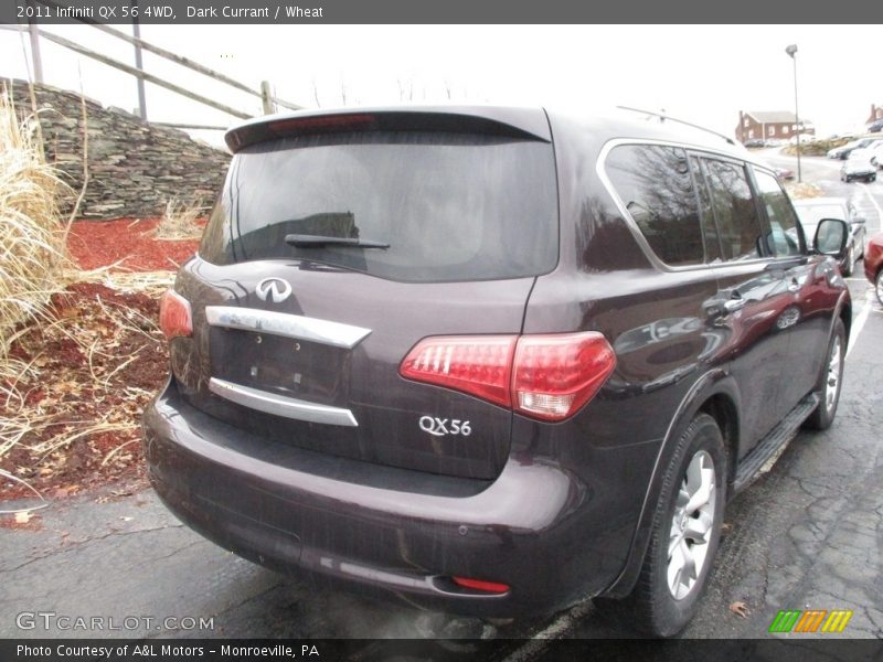 Dark Currant / Wheat 2011 Infiniti QX 56 4WD