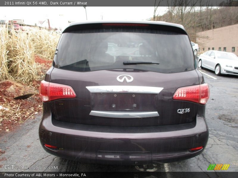 Dark Currant / Wheat 2011 Infiniti QX 56 4WD