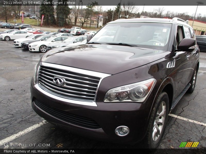 Dark Currant / Wheat 2011 Infiniti QX 56 4WD