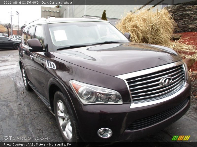 Dark Currant / Wheat 2011 Infiniti QX 56 4WD