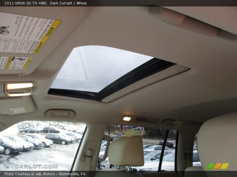 Dark Currant / Wheat 2011 Infiniti QX 56 4WD
