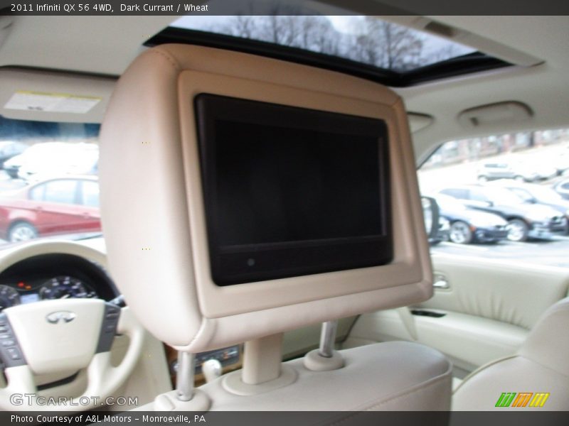 Dark Currant / Wheat 2011 Infiniti QX 56 4WD