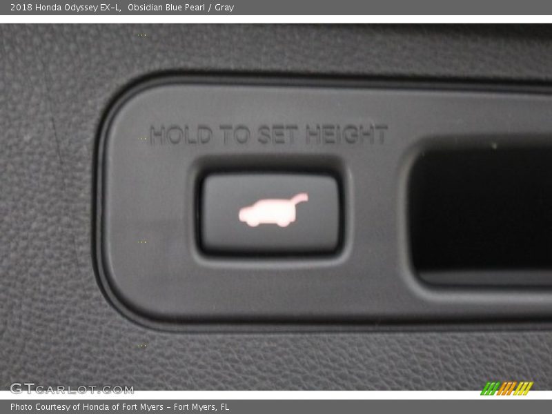 Obsidian Blue Pearl / Gray 2018 Honda Odyssey EX-L