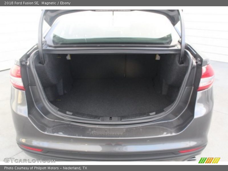 Magnetic / Ebony 2018 Ford Fusion SE