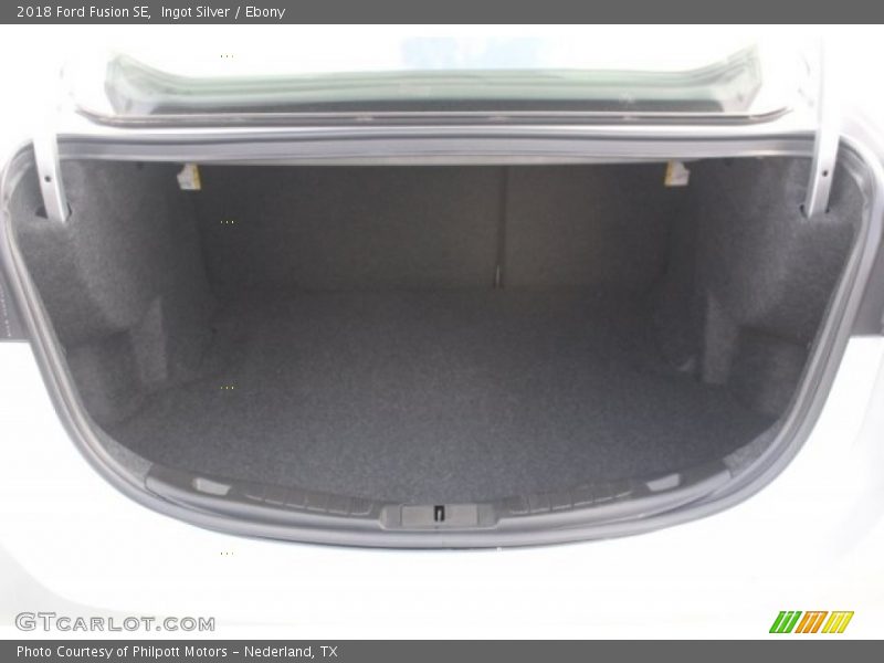 Ingot Silver / Ebony 2018 Ford Fusion SE