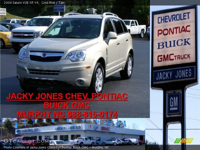 Gold Mist / Tan 2009 Saturn VUE XR V6