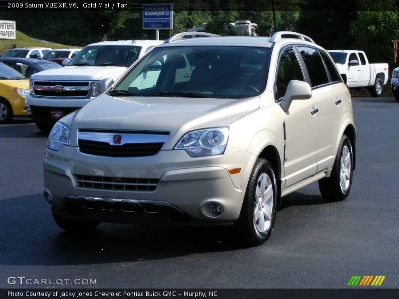 Gold Mist / Tan 2009 Saturn VUE XR V6