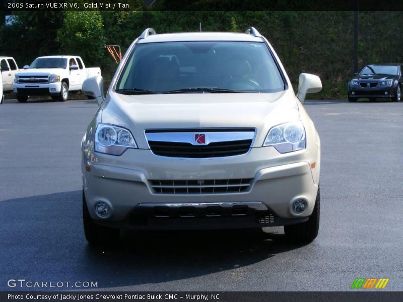 Gold Mist / Tan 2009 Saturn VUE XR V6