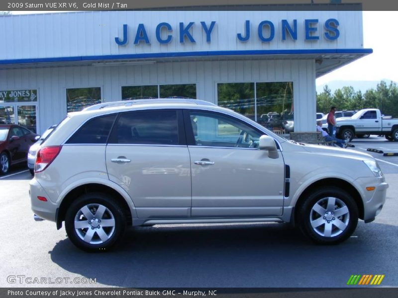 Gold Mist / Tan 2009 Saturn VUE XR V6