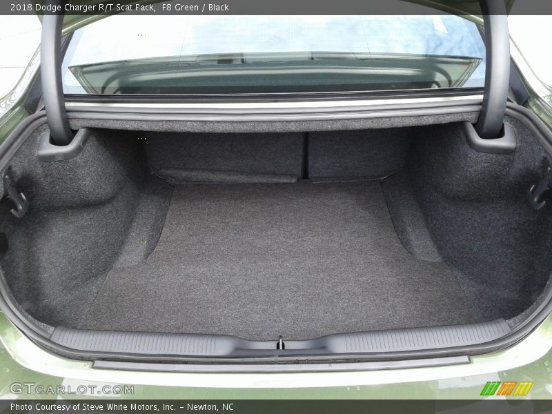F8 Green / Black 2018 Dodge Charger R/T Scat Pack