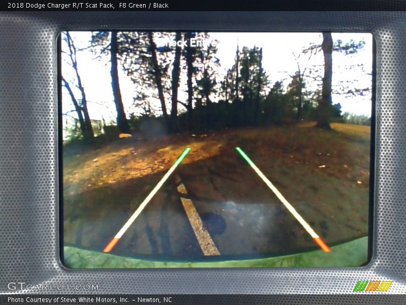 F8 Green / Black 2018 Dodge Charger R/T Scat Pack
