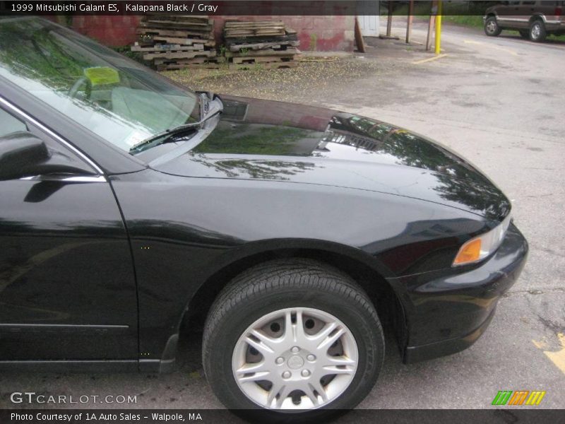 Kalapana Black / Gray 1999 Mitsubishi Galant ES