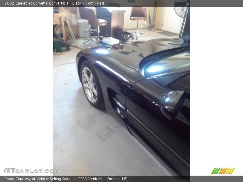 Black / Torch Red 2002 Chevrolet Corvette Convertible