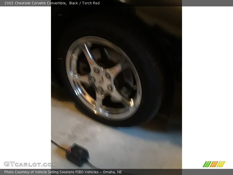 Black / Torch Red 2002 Chevrolet Corvette Convertible