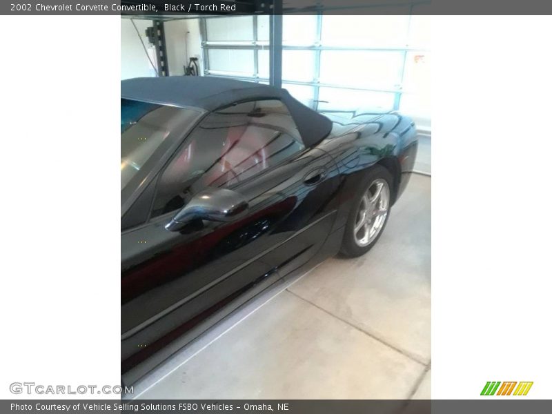 Black / Torch Red 2002 Chevrolet Corvette Convertible