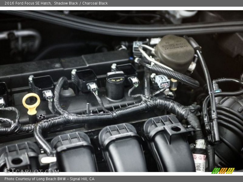 Shadow Black / Charcoal Black 2016 Ford Focus SE Hatch