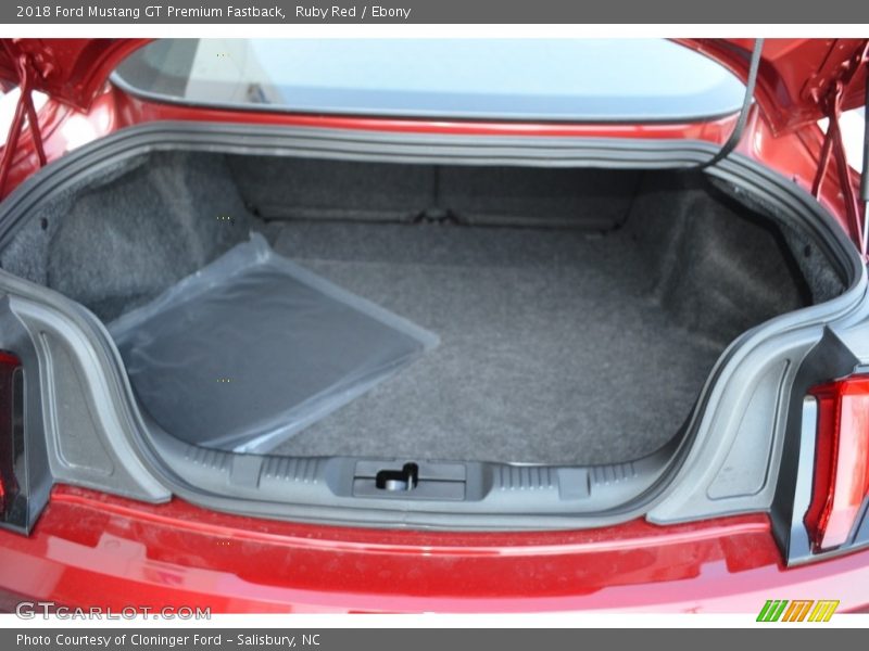 Ruby Red / Ebony 2018 Ford Mustang GT Premium Fastback