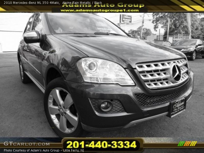 Alpine Rain Metallic / Black 2010 Mercedes-Benz ML 350 4Matic