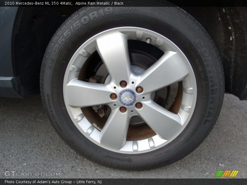 Alpine Rain Metallic / Black 2010 Mercedes-Benz ML 350 4Matic