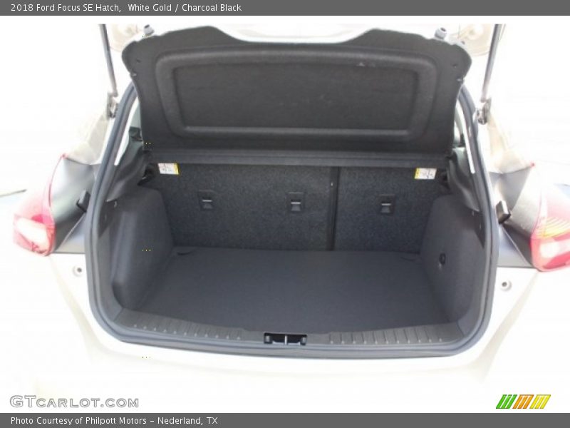 White Gold / Charcoal Black 2018 Ford Focus SE Hatch