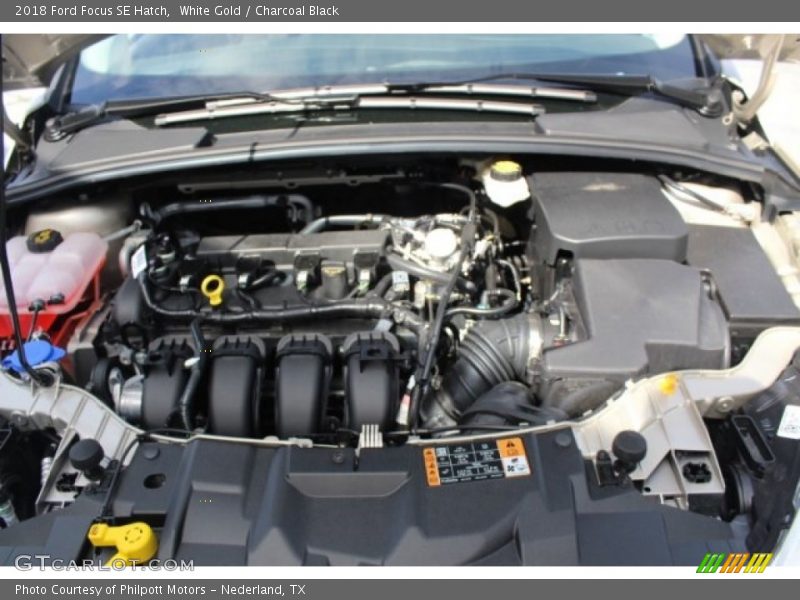White Gold / Charcoal Black 2018 Ford Focus SE Hatch