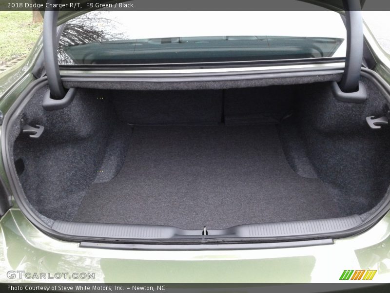 F8 Green / Black 2018 Dodge Charger R/T