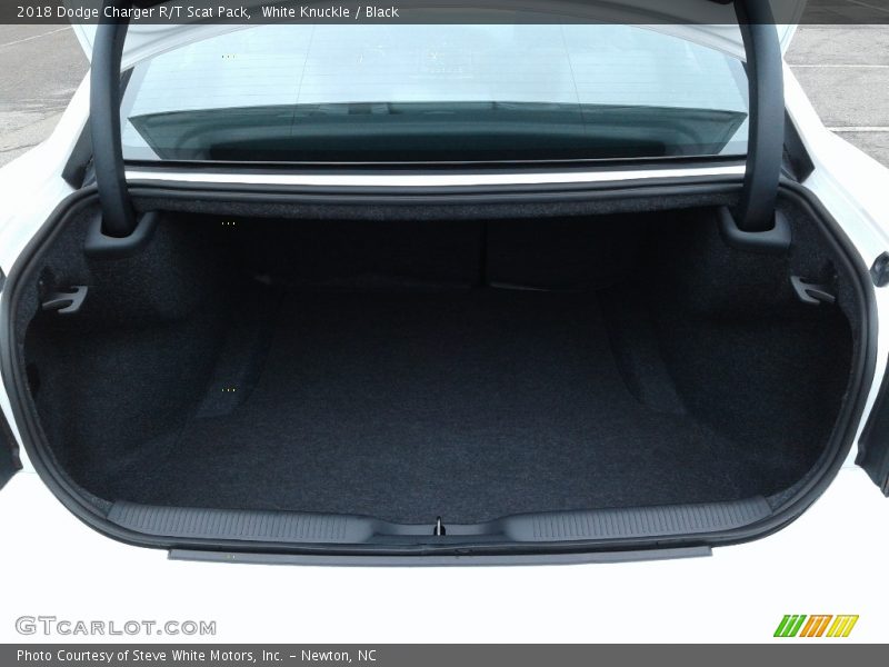 White Knuckle / Black 2018 Dodge Charger R/T Scat Pack